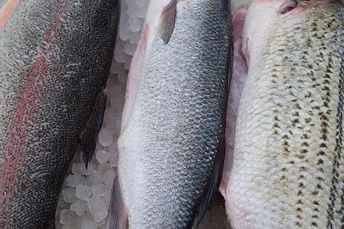 Elite Fresh Fish Inc